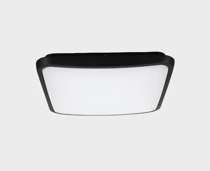 Уличный потолочный светильник Italline IT6012