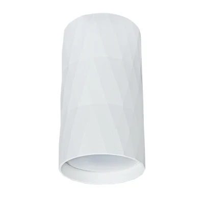 Светильник точечный накладной со сменной лампой Arte Lamp FANG A5557PL-1WH