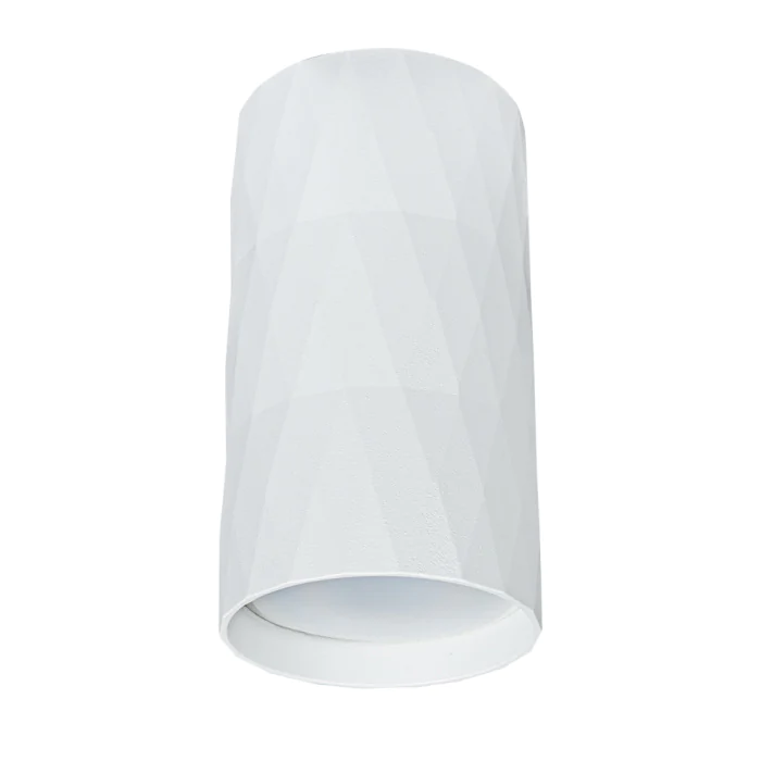 Светильник точечный накладной со сменной лампой Arte Lamp FANG A5557PL-1WH