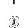 Подвесной светильник Odeon Light Piuma 6665/38L