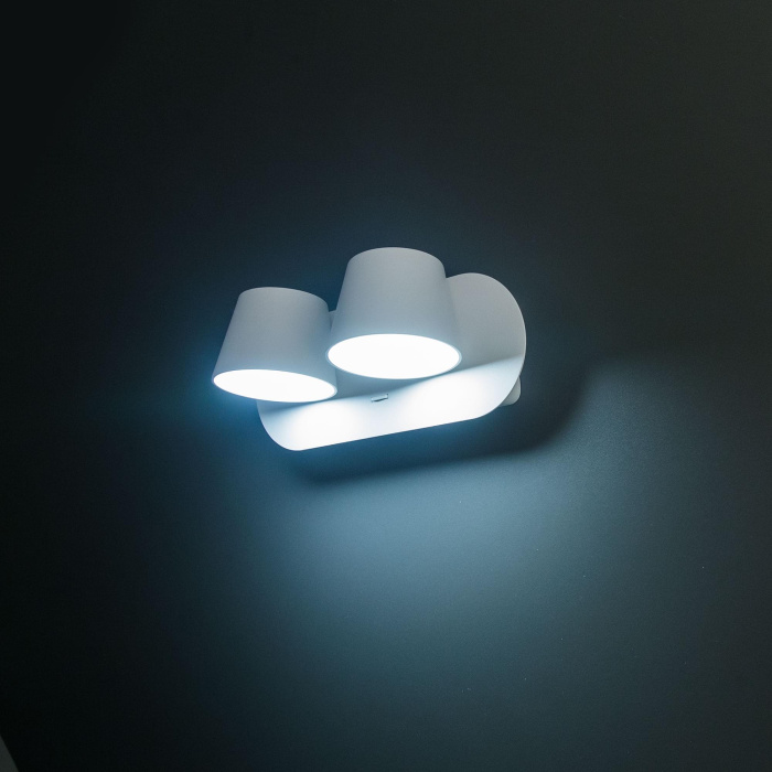 Светильник настенный поворотный Citilux Норман CL533320N