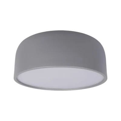 Потолочный светильник Loft it Axel 10201/350 Grey
