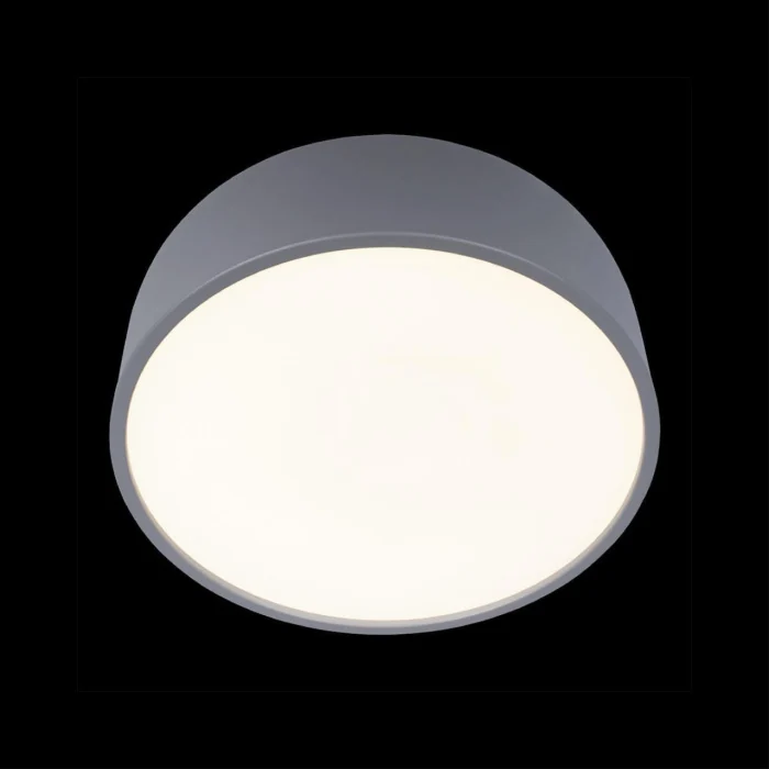 Потолочный светильник Loft it Axel 10201/350 Grey