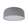 Потолочный светильник Loft it Axel 10201/350 Grey