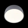 Потолочный светильник Loft it Axel 10201/350 Grey