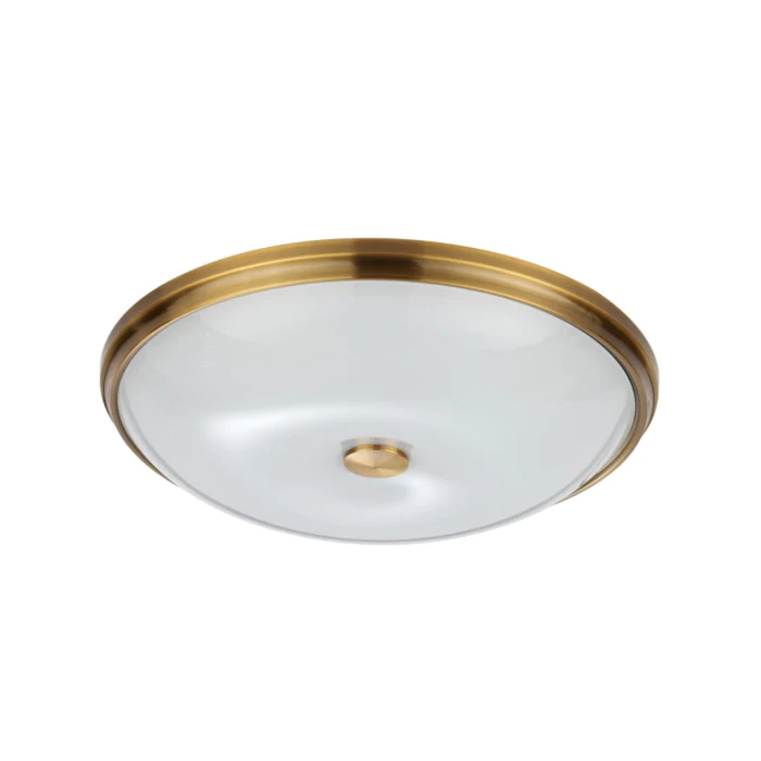Настенно-потолочный светильник ODEON LIGHT 4956/5