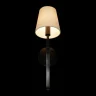 Настенный светильник Loft it Cosy 10308W Black
