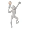 Настенный светильник Loft it Monkey 10314W/A