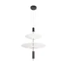 Подвесной светильник Loft it Skylar 10244/B Black