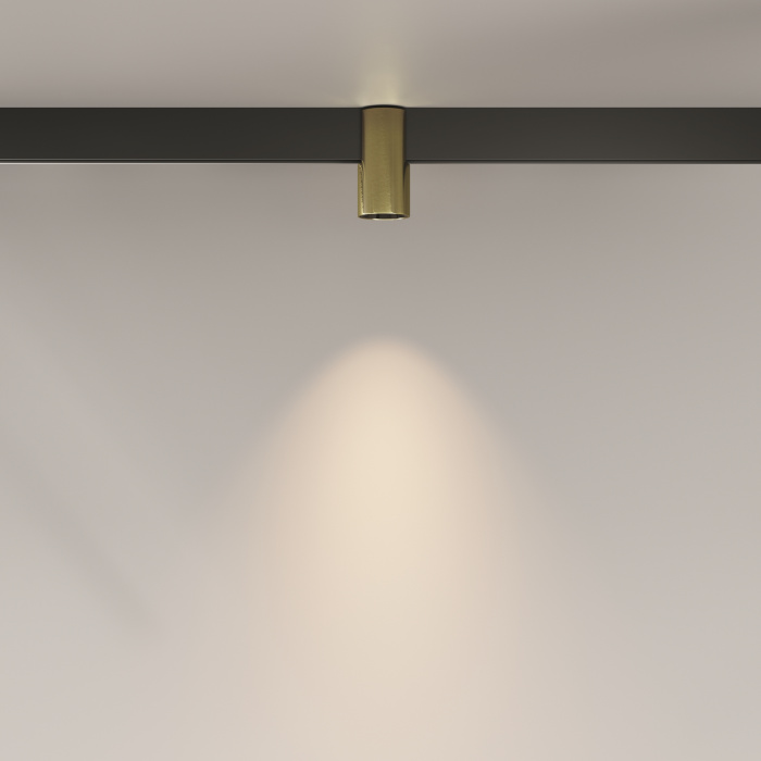 Трековый светильник Maytoni Alfa TR122-2-7W3K-BS