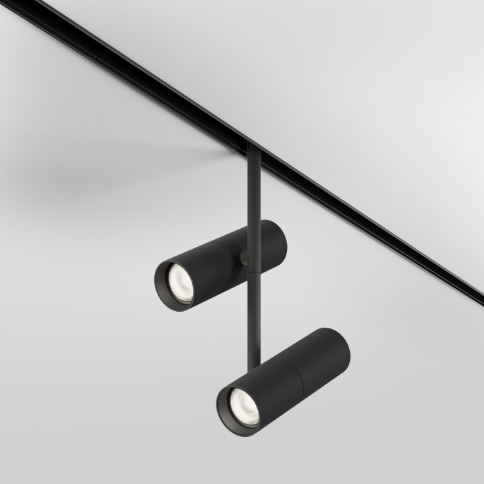 Трековый светильник Maytoni Elti Duo TR005-2-2X12W4K-B