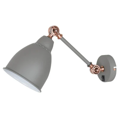 Настенный светильник Arte Lamp Braccio A2054AP-1GY