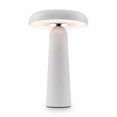 Настольная лампа Freya Mushroom FR6109TL-L4W