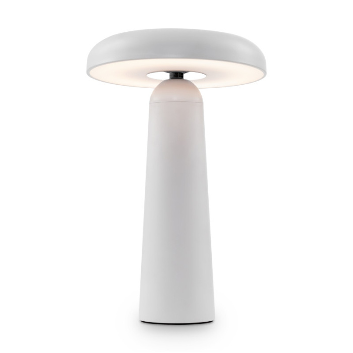 Настольная лампа Freya Mushroom FR6109TL-L4W