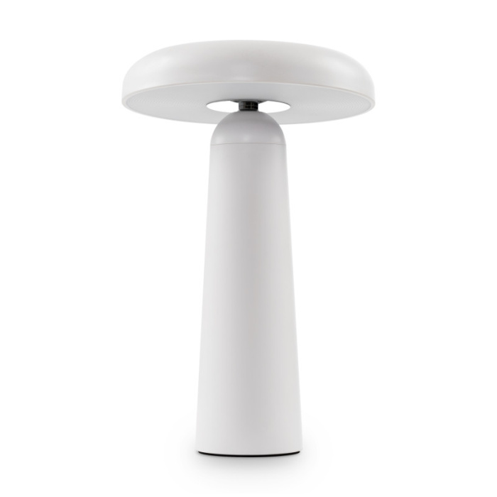 Настольная лампа Freya Mushroom FR6109TL-L4W