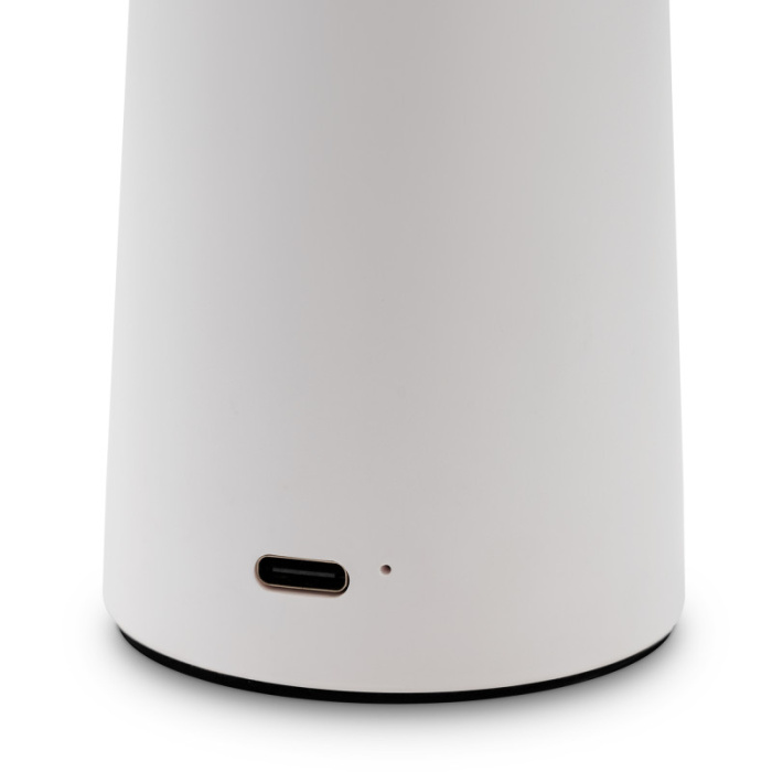 Настольная лампа Freya Mushroom FR6109TL-L4W