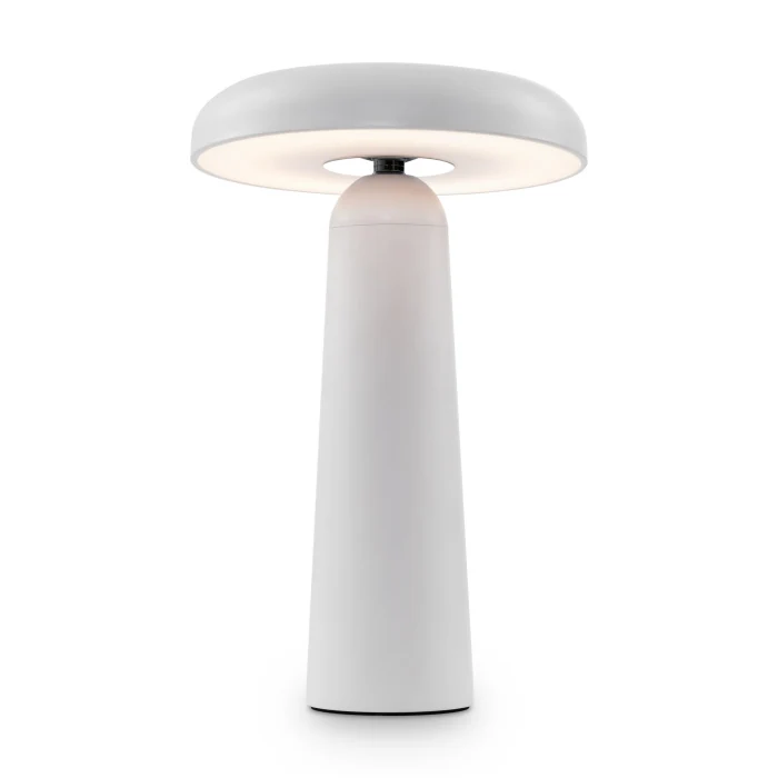 Настольная лампа Freya Mushroom FR6109TL-L4W