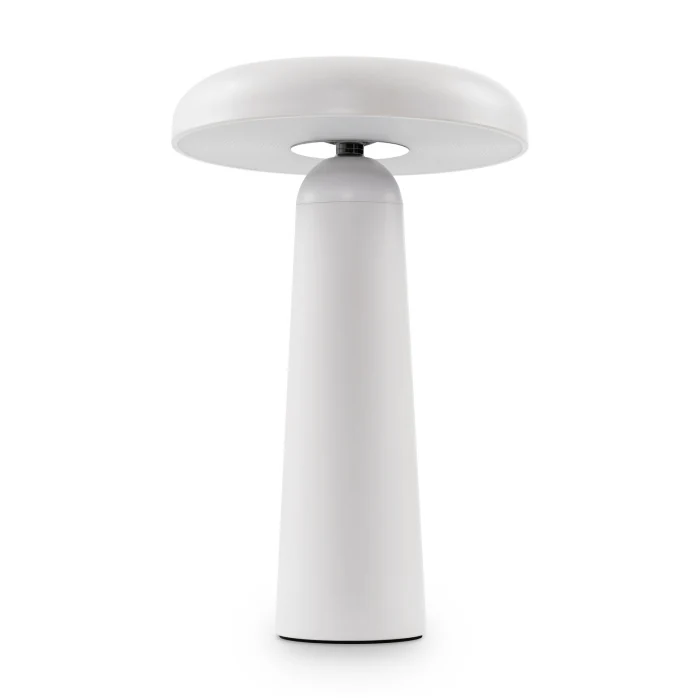 Настольная лампа Freya Mushroom FR6109TL-L4W