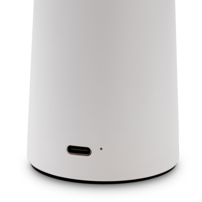 Настольная лампа Freya Mushroom FR6109TL-L4W