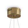 Подвесная люстра Freya Elara FR5591PL-L36BS