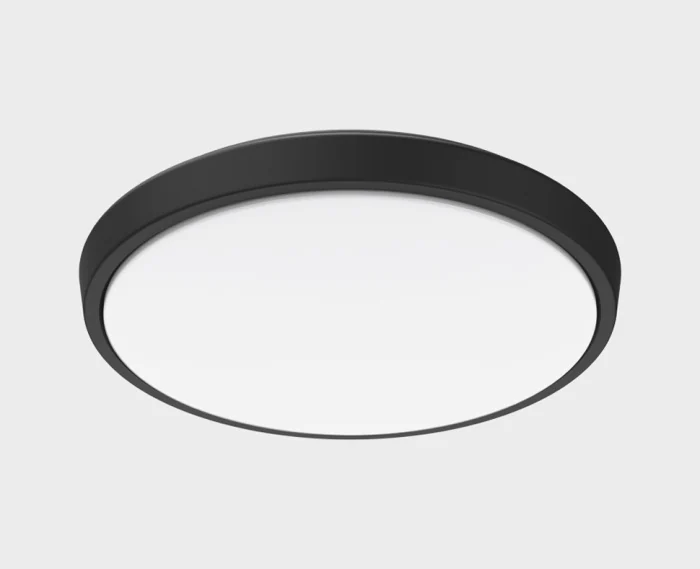 Уличный потолочный светильник Italline IT6011