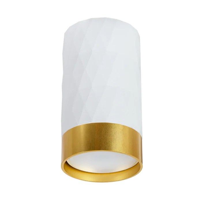 Светильник точечный накладной со сменной лампой Arte Lamp FANG A5558PL-1WH