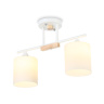 Потолочный светильник Ambrella light TR9541