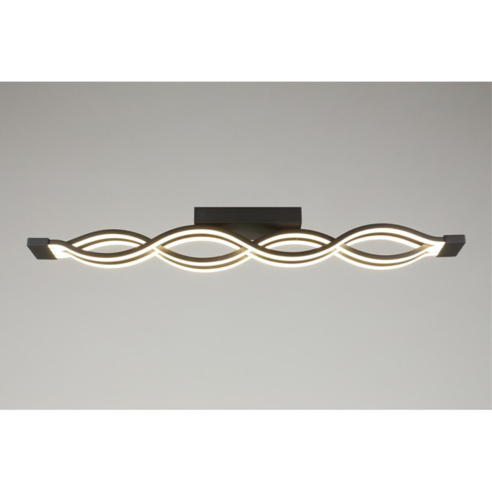 Светильник настенно-потолочный Aployt Nadayn APL.002.17.72