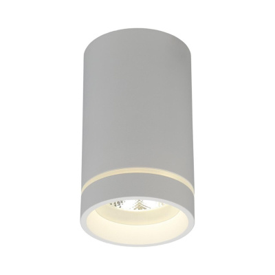 Светильник накладной Aployt Edda APL.0054.09.10