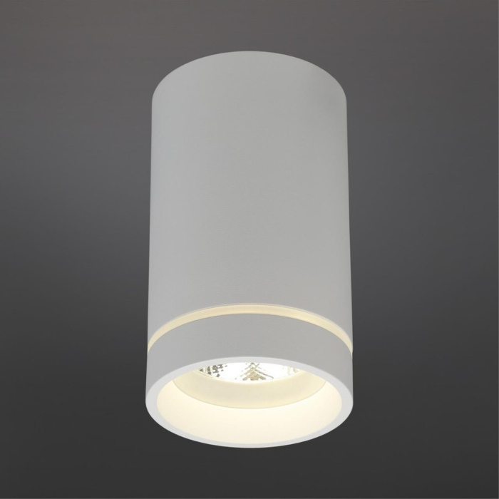 Светильник накладной Aployt Edda APL.0054.09.10