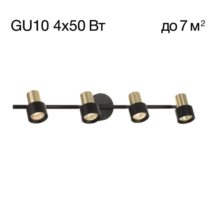 Спот поворотный Citilux Sat CL505641