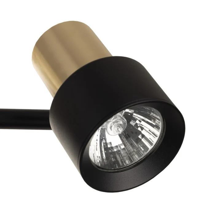 Спот поворотный Citilux Sat CL505641