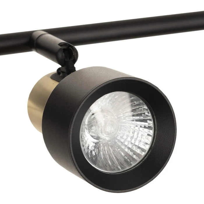 Спот поворотный Citilux Sat CL505641