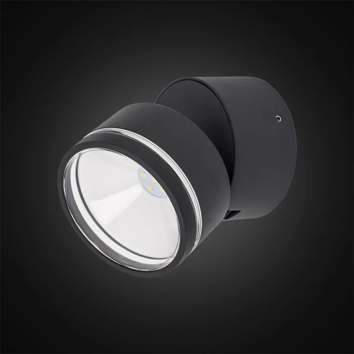Уличный настенный светильник Citilux Garda CLU0008R