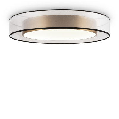 Потолочный светильник Freya Zoticus FR6005CL-L48G