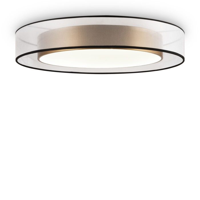 Потолочный светильник Freya Zoticus FR6005CL-L48G