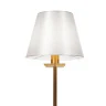 Настольная лампа Freya Forte FR1006TL-01G