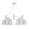 Подвесная люстра Arte Lamp Passero A4289LM-6WH