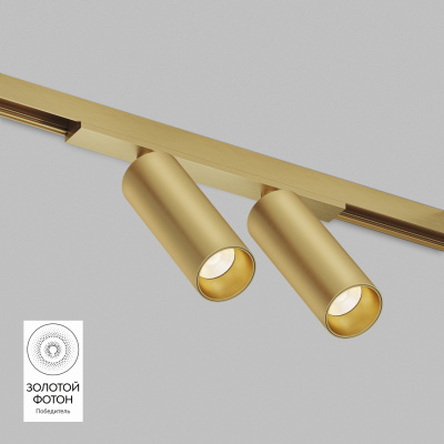 Светильник на шине Denkirs SHINE SPOT DK5742-SB