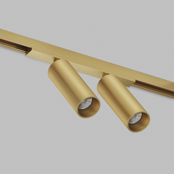 Светильник на шине Denkirs SHINE SPOT DK5742-SB