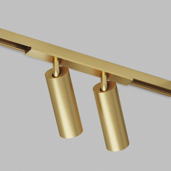 Светильник на шине Denkirs SHINE SPOT DK5742-SB