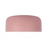 Потолочный светильник Loft it Axel 10201/350 Pink