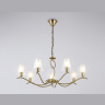 Подвесная люстра со стеклянными плафонами Ambrella light LH57093