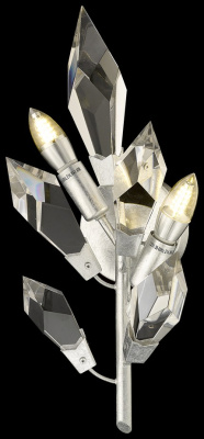 Настенный светильник CASANDRA WE111.02.201 WERTMARK