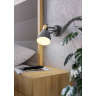 Спот EGLO COSWARTH 901174