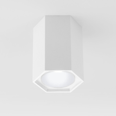 Накладной светодиодный светильник Elektrostandard 25037-led 4690389176500