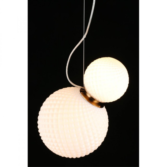 Светильник подвесной Aployt Patunia APL.301.06.02