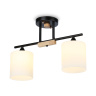 Потолочный светильник Ambrella light TR9543