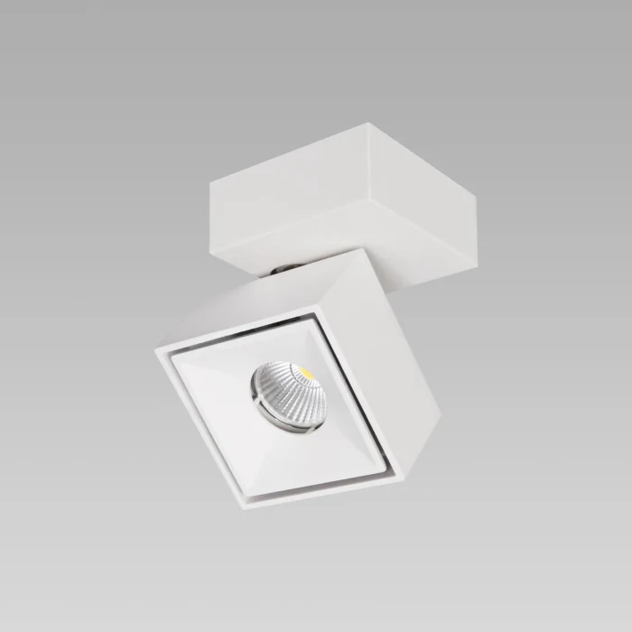 Спот Citilux Стамп CL558020N