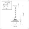 Уличный подвесной светильник Odeon Light Campa 4965/1